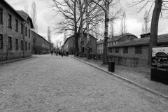 Auschwitz-1