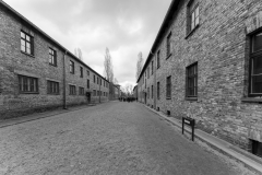 Auschwitz-1