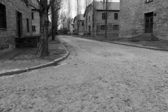 Auschwitz-1