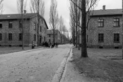 Auschwitz-1