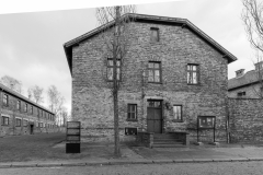 Auschwitz-1