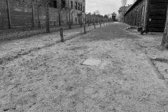 Auschwitz-1