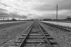 Auschwitz-2-Birkenau