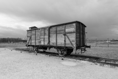 Auschwitz-2-Birkenau