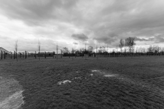 Auschwitz-2-Birkenau