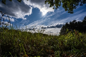 Ein russisches Dorf irgendwo in Brandenburg