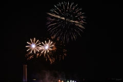Pyronale 2019