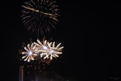 Pyronale 2019