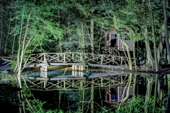 Spandauer Forst