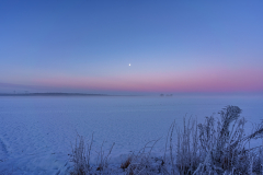 Winter Wonderland