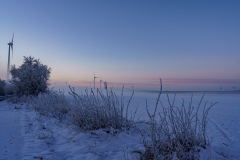 Winter Wonderland