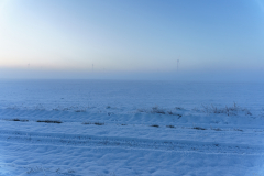 Winter Wonderland