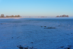 Winter Wonderland