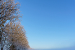 Winter Wonderland
